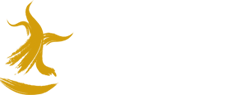 Nebari Bonsáis