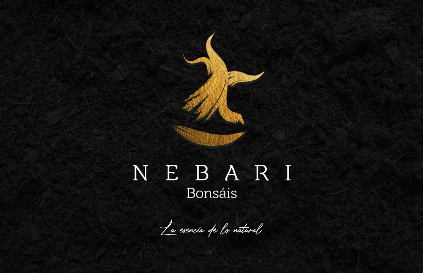 nebari bonsais